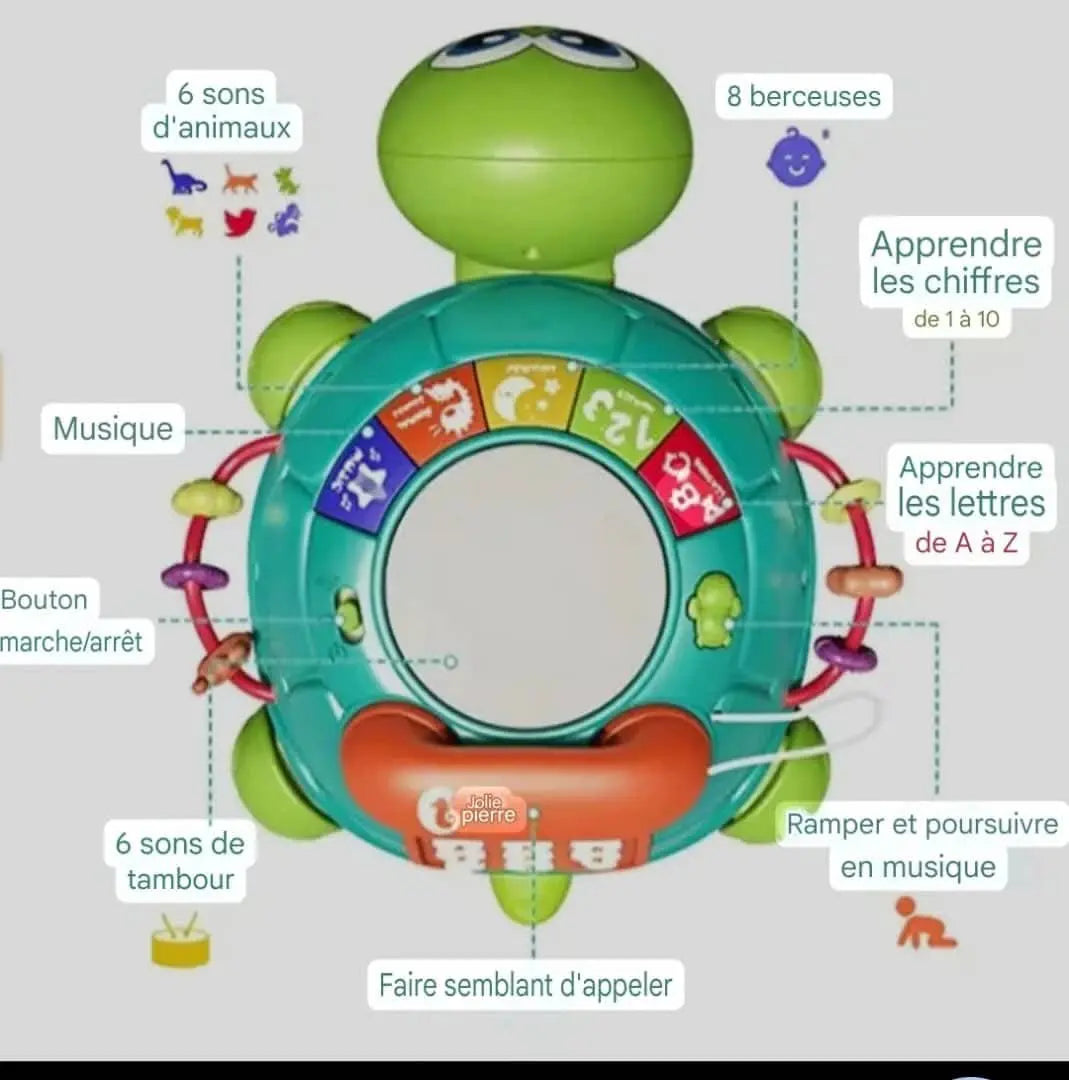 Tortue musicale pour enfant - Boutique Gi&Co
