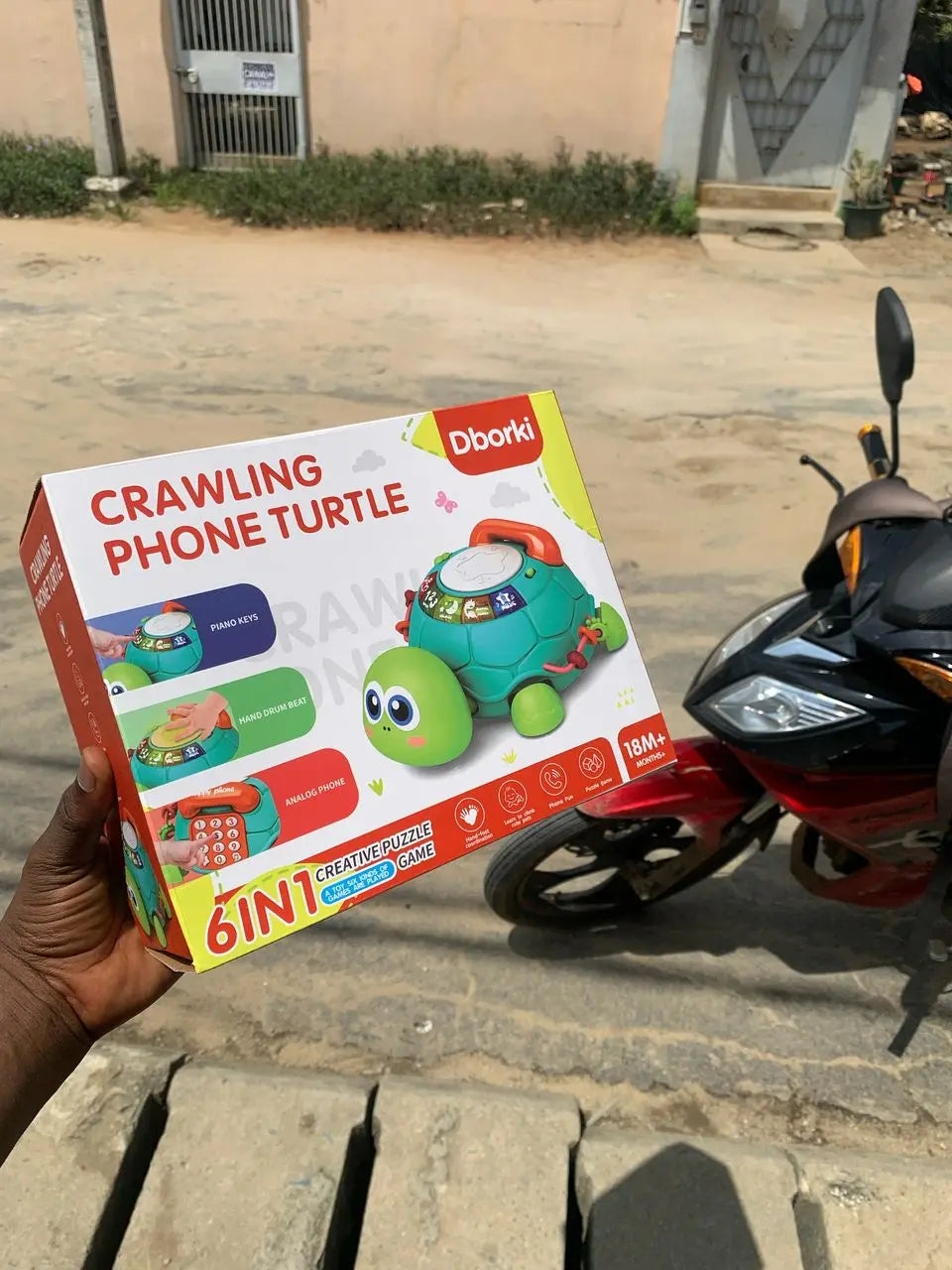 Tortue musicale pour enfant - Boutique Gi&Co